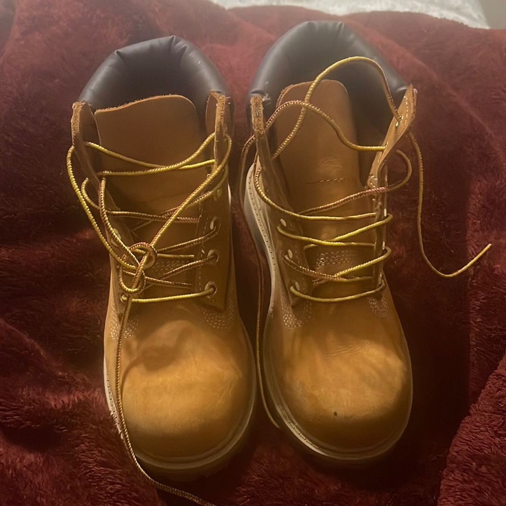 Timberland wheat